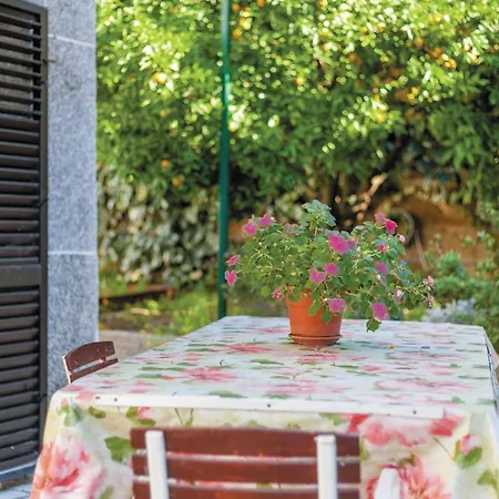 2 Bedroom Cozy In Okrug Gornji * Trogir